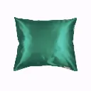 1. Forest Green-500x500.webp