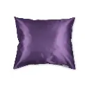 Aubergine-500x500.webp