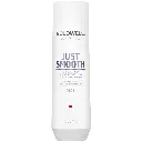 Goldwell Dualsenses Just Smooth Shampoo