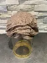 Senna turban