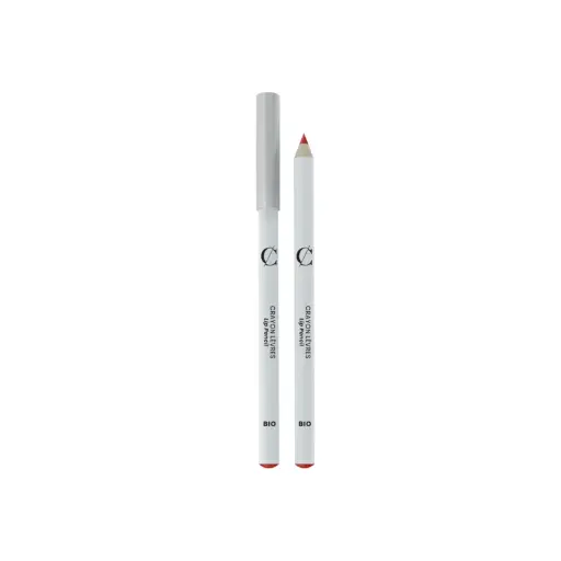Lippenpotlood (107) Red 